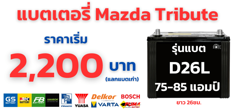 ราคาแบตเตอรี่ Tribute