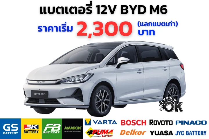 แบตเตอรี่ BYD M6 12V